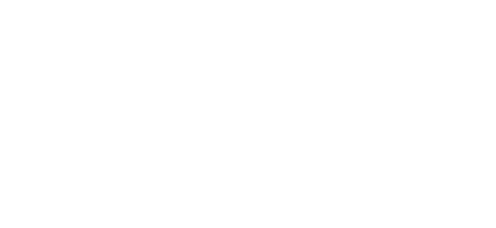The Historical Bolt