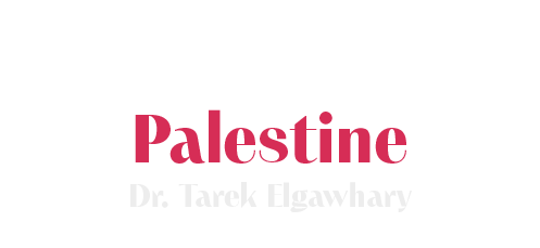 Standing for Palestine by Dr Tarek Elgawhary