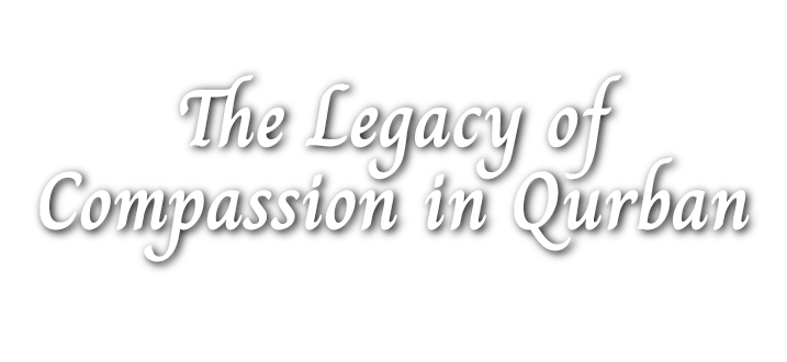 The Legacy of Compassion in Qurban